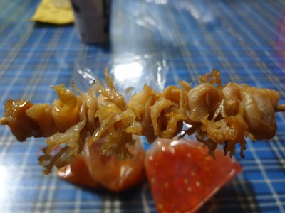 แมงกระพรุนย่าง