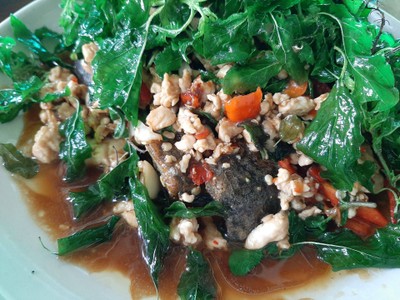 กระเพราไข่เยี่ยวม้า