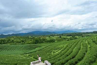 🌲🌿วันเดียวเที่ยวเชียงราย🚗เที่ยวคนเดียวกูก็ไป📸