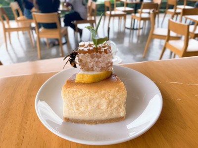 🌲🌿วันเดียวเที่ยวเชียงราย🚗เที่ยวคนเดียวกูก็ไป📸