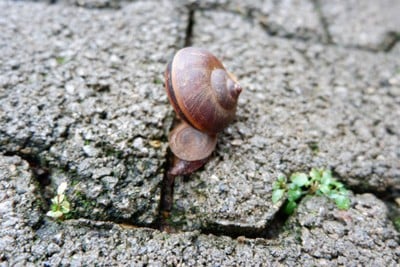 🌲🌿วันเดียวเที่ยวเชียงราย🚗เที่ยวคนเดียวกูก็ไป📸