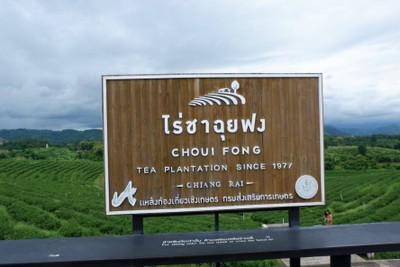 🌲🌿วันเดียวเที่ยวเชียงราย🚗เที่ยวคนเดียวกูก็ไป📸