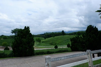 🌲🌿วันเดียวเที่ยวเชียงราย🚗เที่ยวคนเดียวกูก็ไป📸