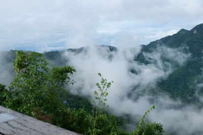 🌲🌿วันเดียวเที่ยวเชียงราย🚗เที่ยวคนเดียวกูก็ไป📸