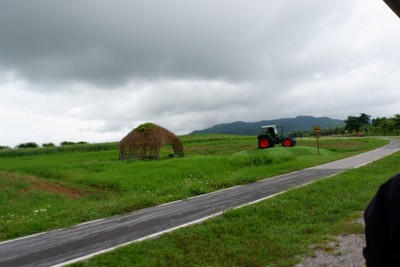 🌲🌿วันเดียวเที่ยวเชียงราย🚗เที่ยวคนเดียวกูก็ไป📸