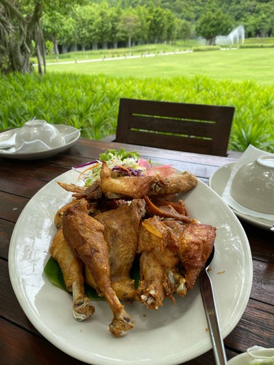 ไก่สาดเกลือ