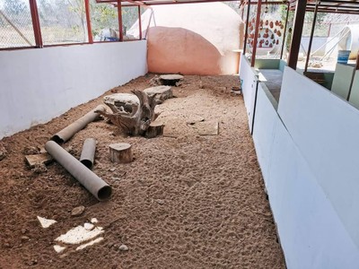 ที่เที่ยว​เชียงใหม่​