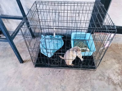 ที่เที่ยว​เชียงใหม่​