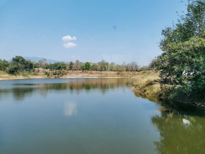 ที่เที่ยว​เชียงใหม่​