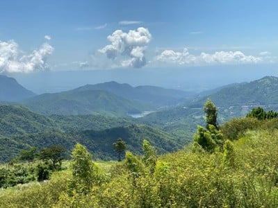 Takmoh Coffee Khao Kho กาแฟตั๊กม้อ เขาค้อ