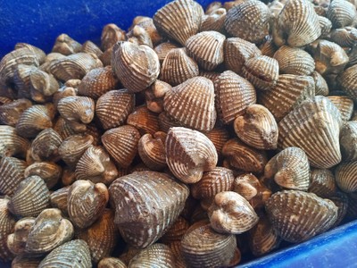 ยำข้าวโพดปลากรอบ