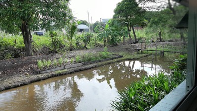 Inside