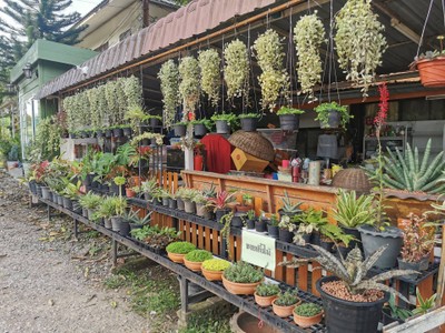 บริเวณโดยรอบ