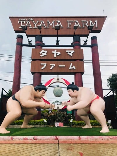 Tayama farm khaoyai