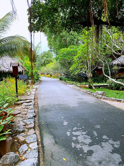 บริเวณโดยรอบ