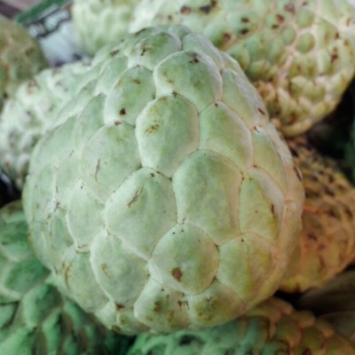 น้อยหน่าหนัง (เพชรปากช่อง)