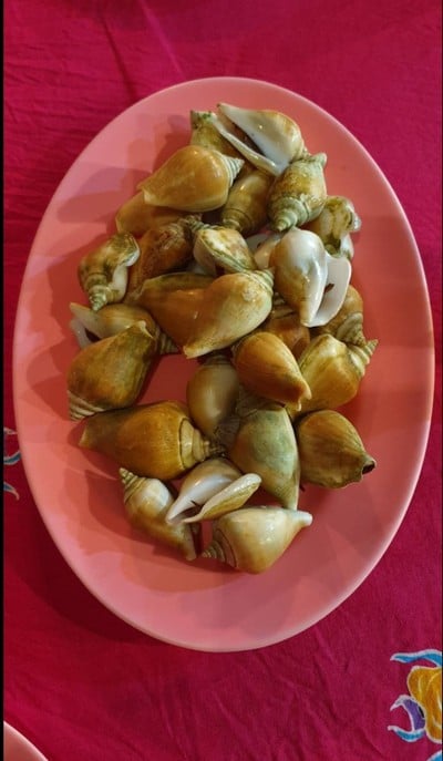 หอยชักตีนครึ่ง/125