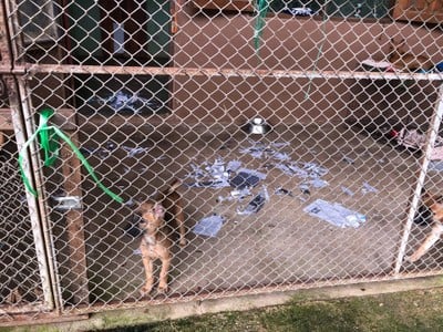 Elephant Nature Park