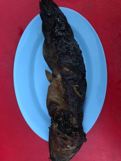 ปลาดุกย่าง