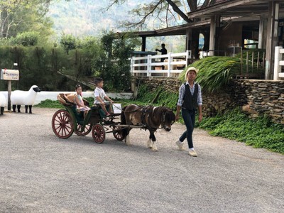 The Scenery Vintage Farm