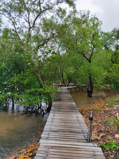 บริเวณโดยรอบ