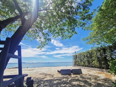 สระว่ายน้ำ/ชายหาด