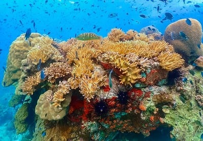 บรรยากาศ