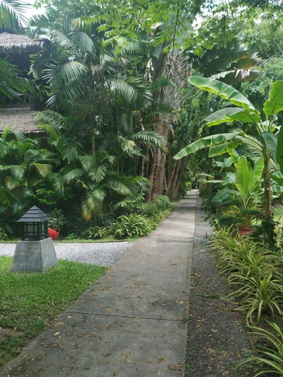 บริเวณโดยรอบ