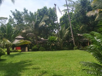 บริเวณโดยรอบ