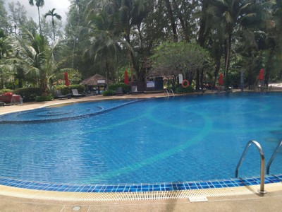 สระว่ายน้ำ/ชายหาด