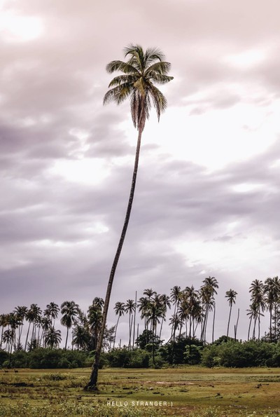 Unseen Thailand “KOH KRADAD” เกาะกระดาด จ.ตราด