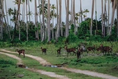 Unseen Thailand “KOH KRADAD” เกาะกระดาด จ.ตราด