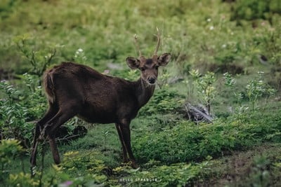 Unseen Thailand “KOH KRADAD” เกาะกระดาด จ.ตราด