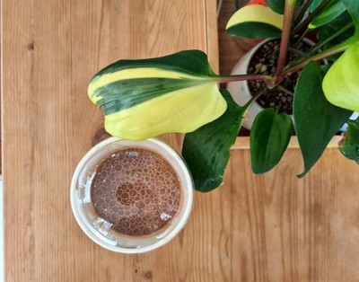 Simple Homemade Chocolate