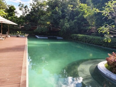 สระว่ายน้ำ/ชายหาด