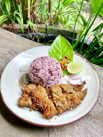 ยังทำฟาร์ม X บ้านบ้านคาเฟ่ Youngtamfarm X BaanBaancafe