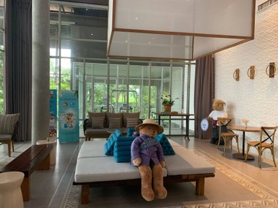 บริเวณโดยรอบ