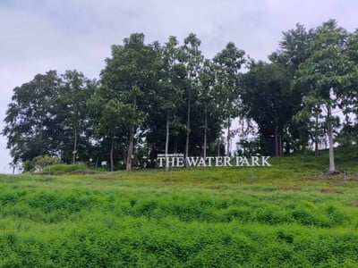 บริเวณโดยรอบ