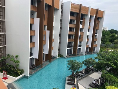 บริเวณโดยรอบ