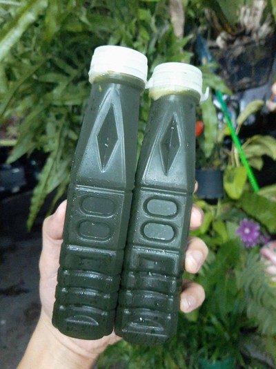 [โปรตบโต๊ะ]ชุดน้ำใบบัวบก2ขวดแท้(หญ้าหวาน0%)250ml
