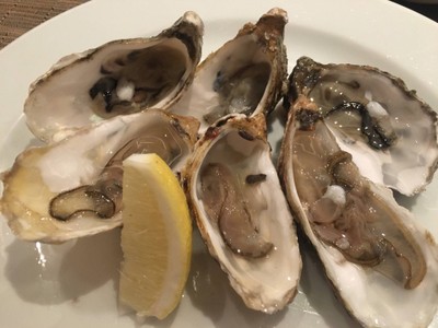 OYSTERS
