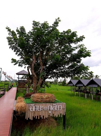 บรรยากาศ