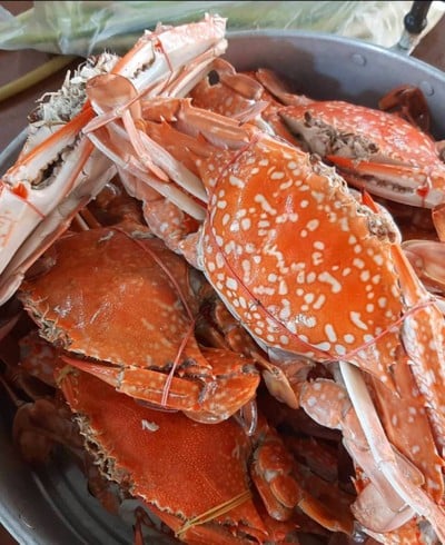 ปูม้าตัวใหญ่ สดมากๆ เนื้อหวานค่ะ 