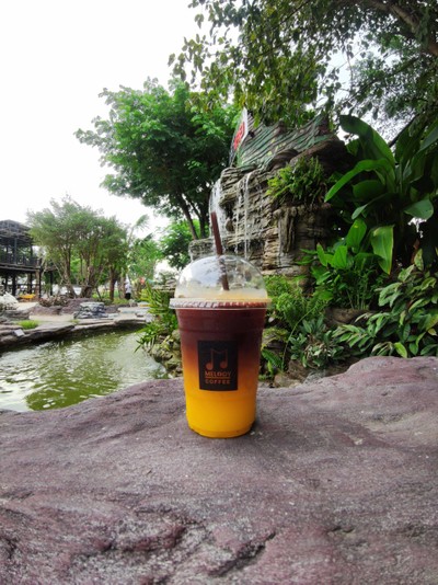 Melody Coffee