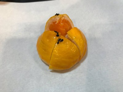 ลาวา (ครีมไข่เค็ม)