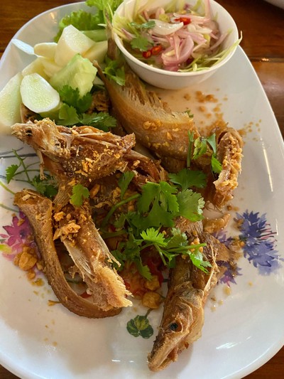 ปลาเนื้ออ่อน