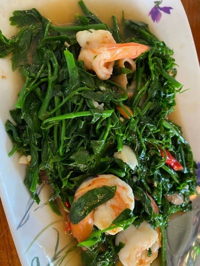 ผัดผักหวานบ้าน