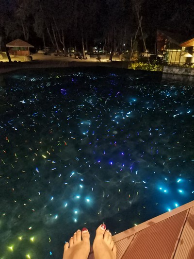 สระว่ายน้ำ/ชายหาด