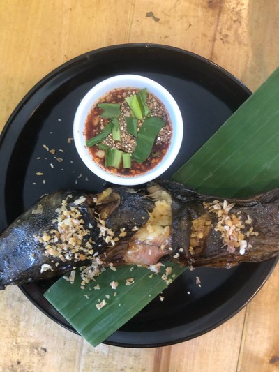 ปลาดุกย่าง