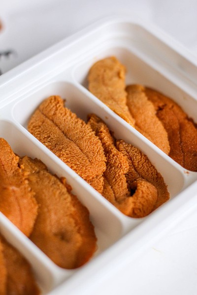 Sea Urchin